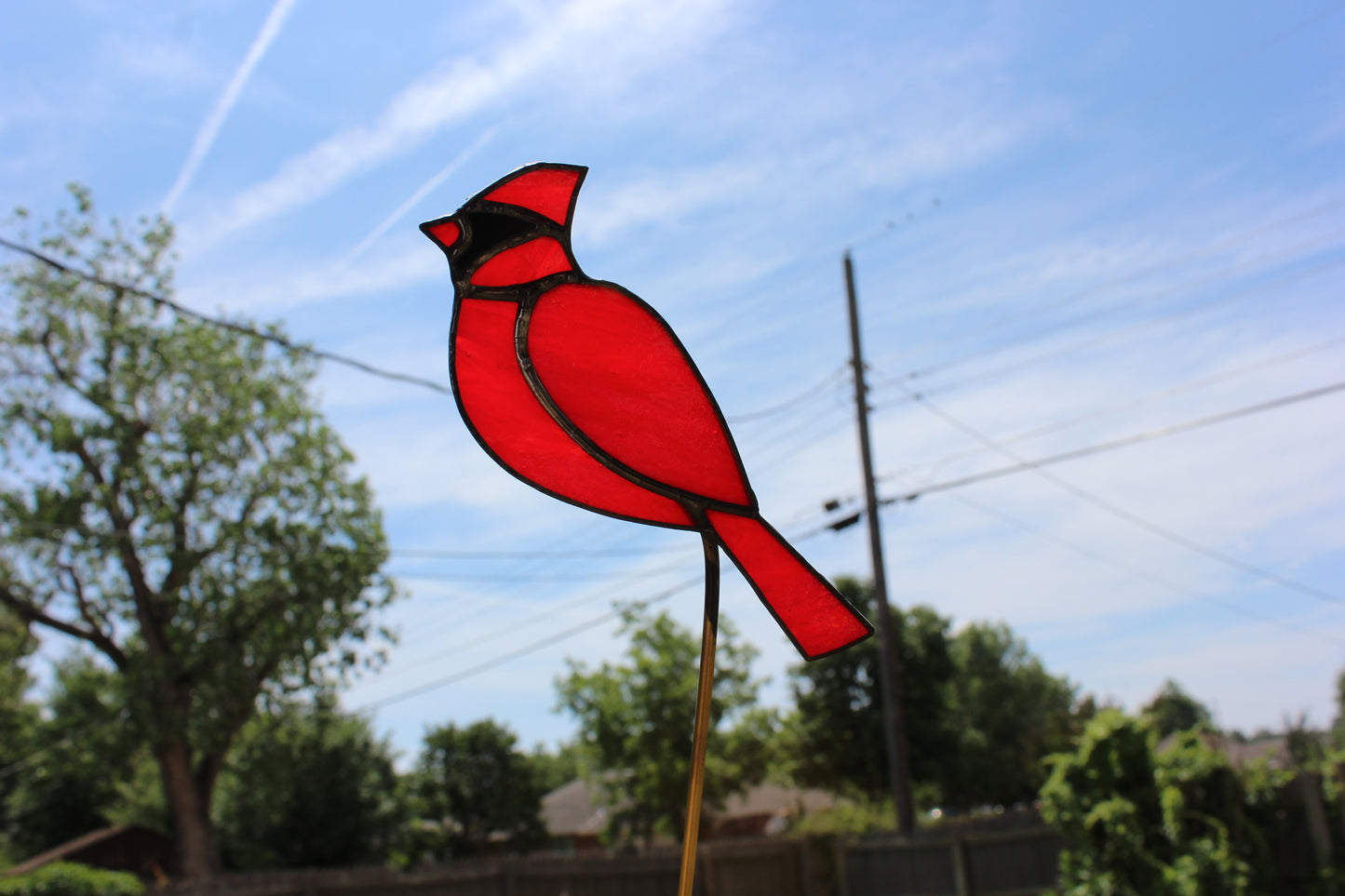 Cardinal