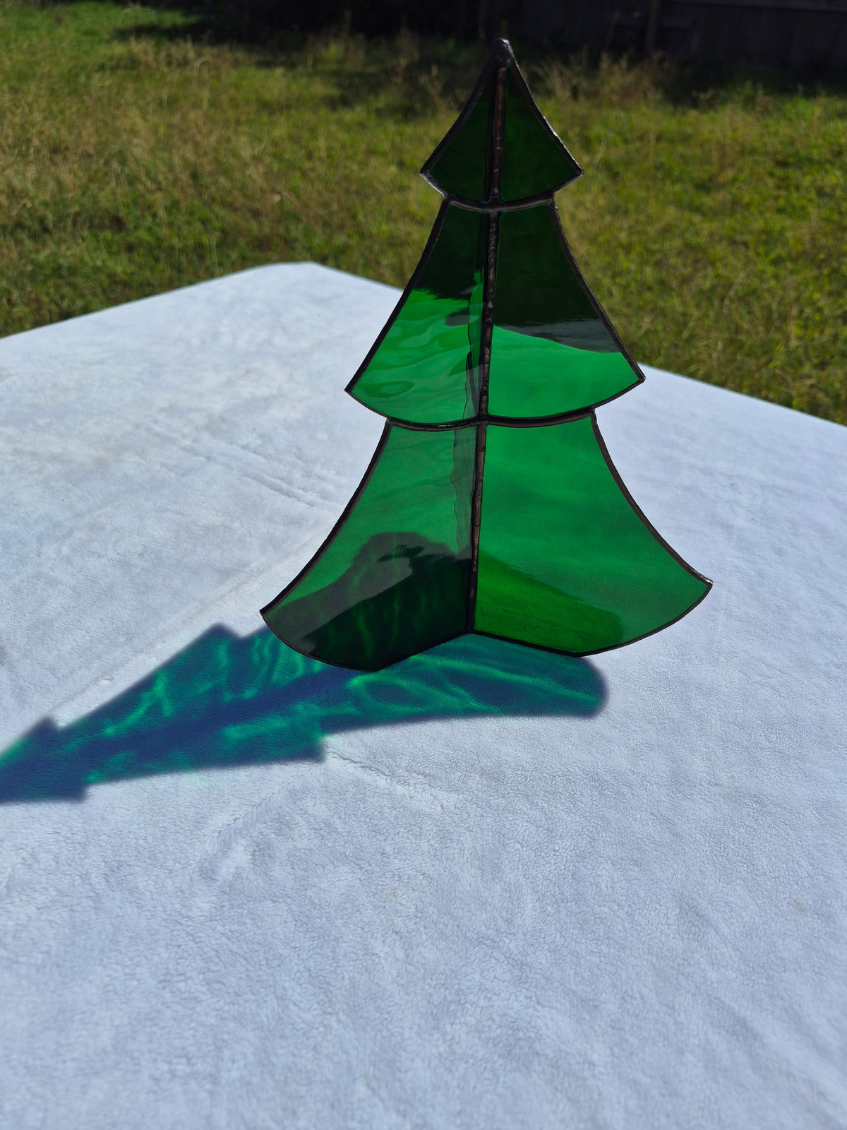 Large Standing Tree