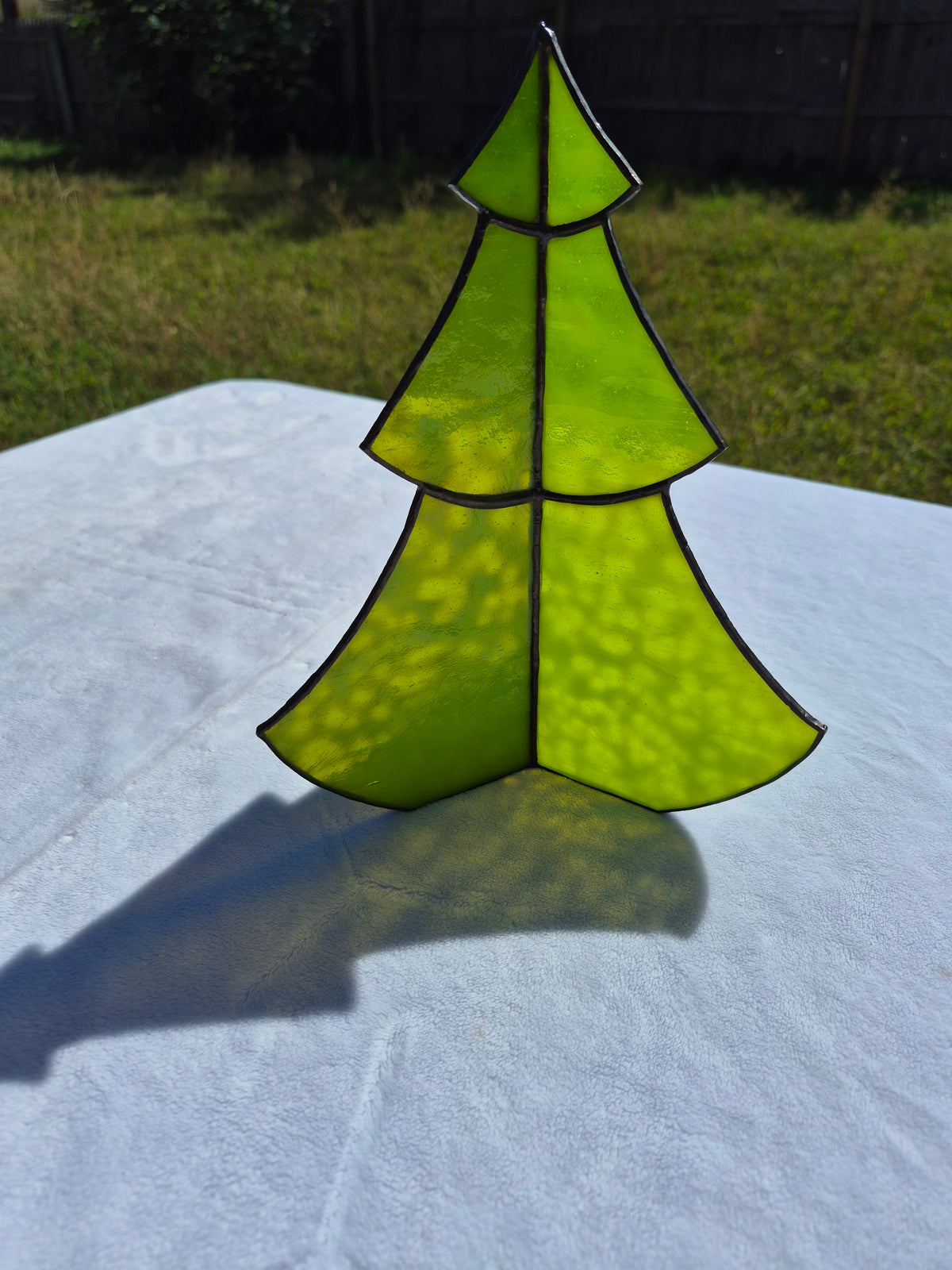 Large Standing Tree